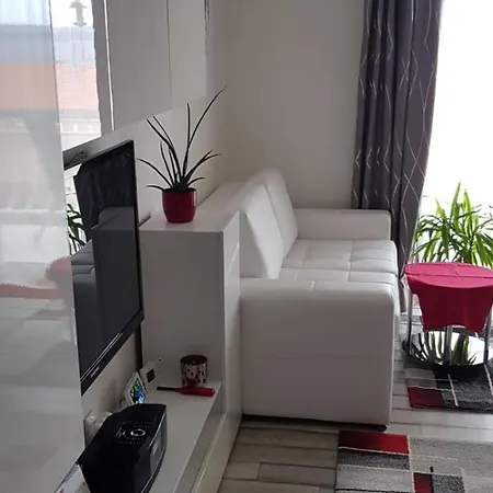 Perhata Ivice Ricica 11f Jadranovo