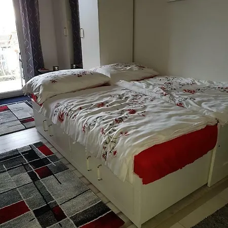 Perhata Ivice Ricica 11f Jadranovo